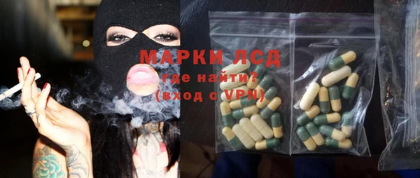 PSILOCYBIN Алзамай