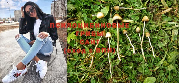 PSILOCYBIN Алексеевка