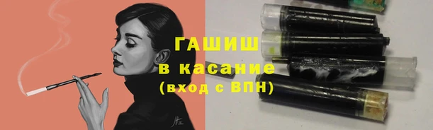 PSILOCYBIN Алзамай