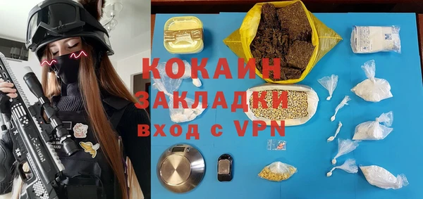 дживик Алексин