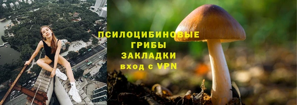 PSILOCYBIN Алзамай