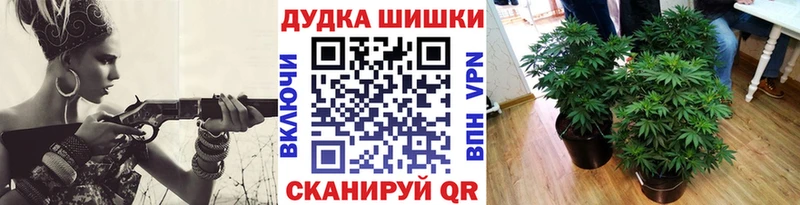 как найти   Талдом  МЕГА маркетплейс  Конопля конопля 
